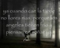 /album/frases-ed-echriz/a1244218325677-f-jpg1/