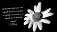 /album/frases-ed-echriz/blanco-y-negro-249729dc-cdb1-454f-a091-7b6e9bd7a8ce-jpg1/