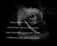 /album/frases-ed-echriz/rosa-negra-jpg/